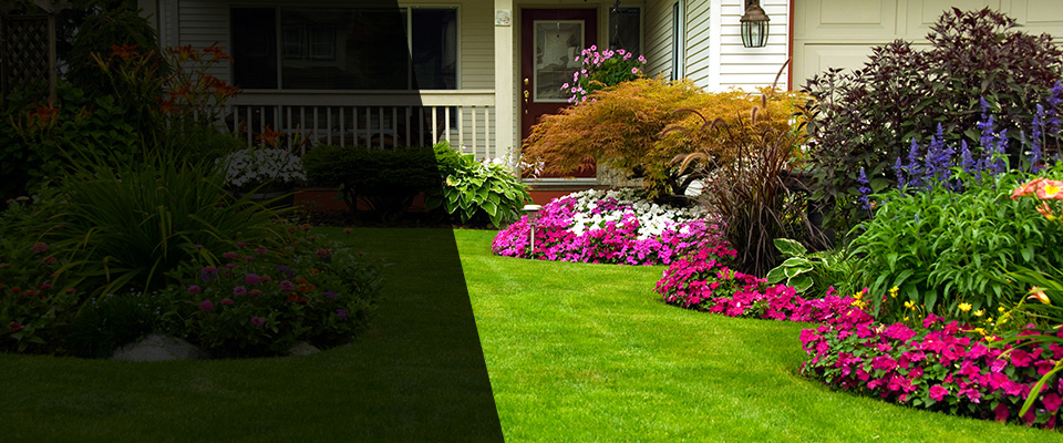 La Quinta Landscapers