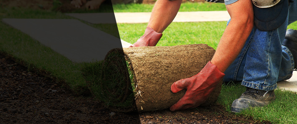 La Quinta Landscapers
